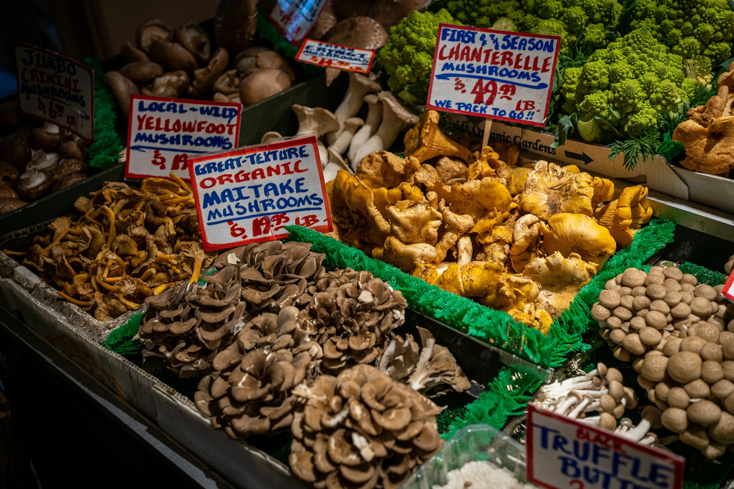 many different kinds of mushrooms in crates on display