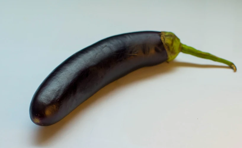 the pod of an unripe black eggplant