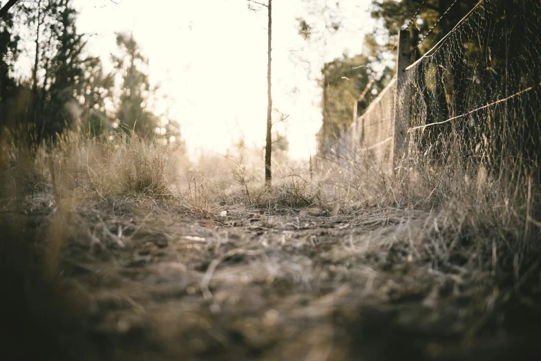 an empty fence in the field near some trees