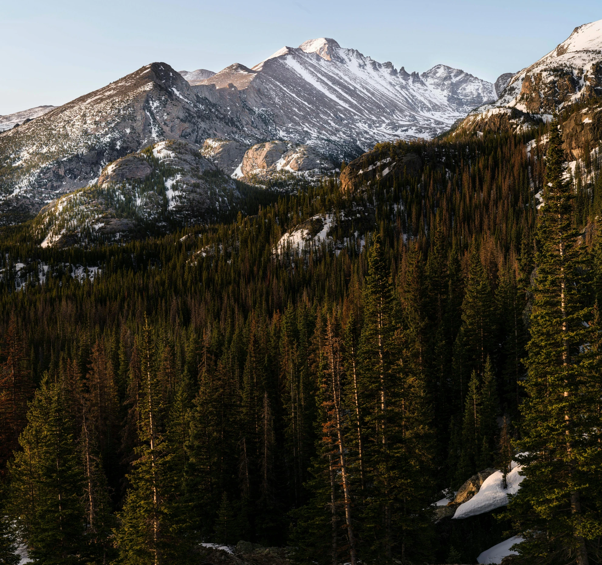 a snow covered mountains sits behind trees