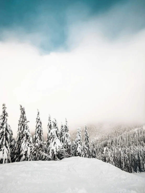 the view from a ski slope, looking over trees with snow