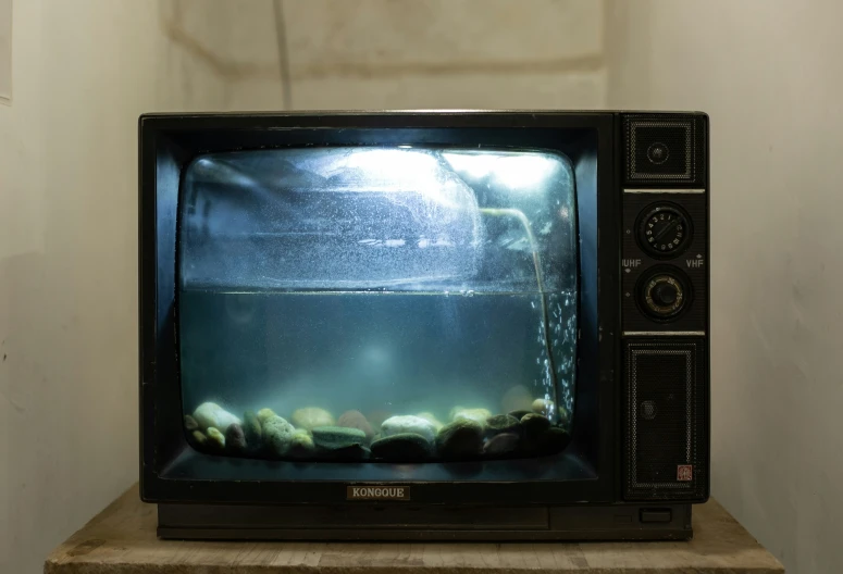 an old television turned upside down with algae