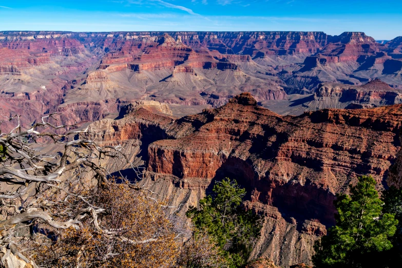 there are trees on the other side of the large cliff