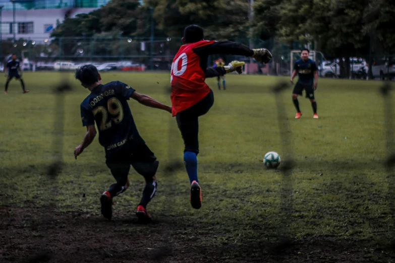 a group of people in grassy field playing soccer