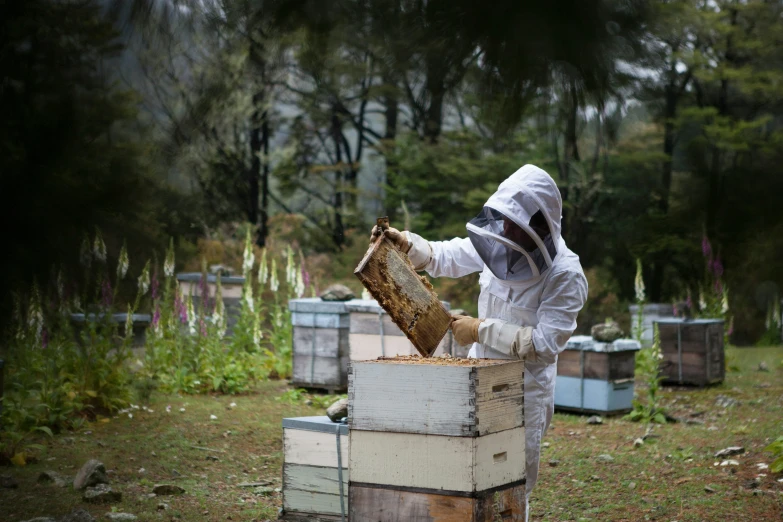 a man wearing bee clothing is holding up some beehives