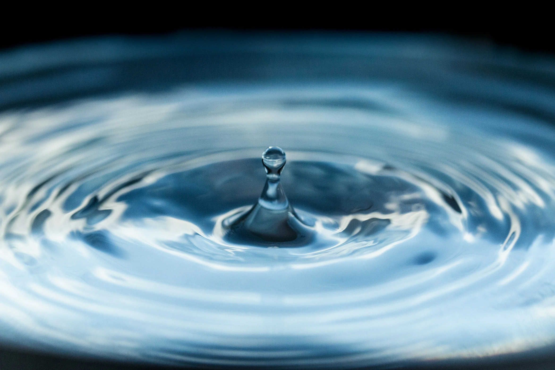 an image of a dark blue bowl with water in it