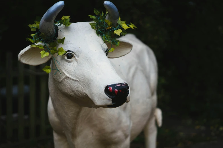 a white bull with a wreath on his head