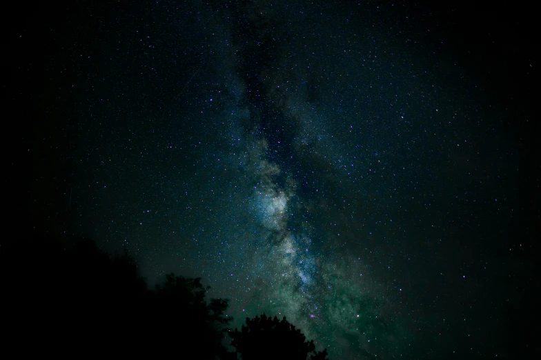 a dark sky full of many stars with trees in the foreground