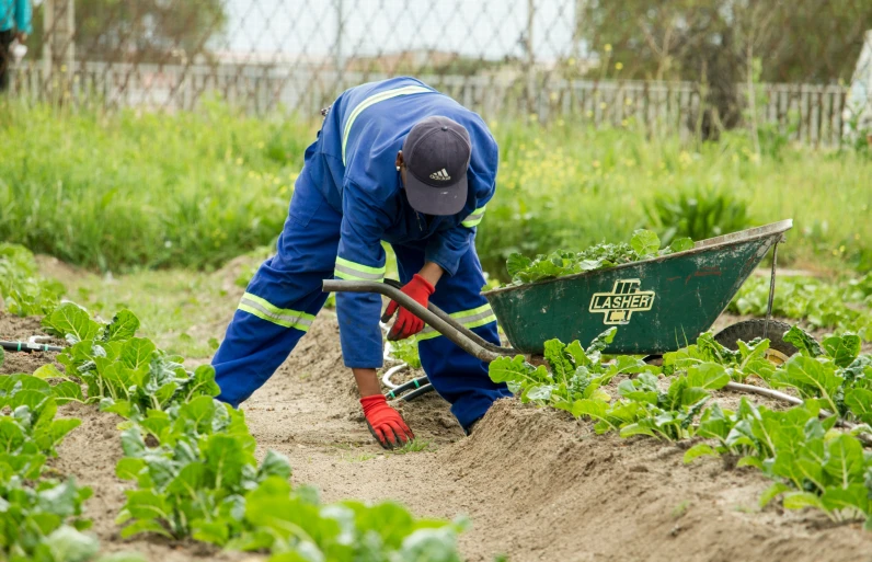 a person holding a shovel and digging the ground in some garden