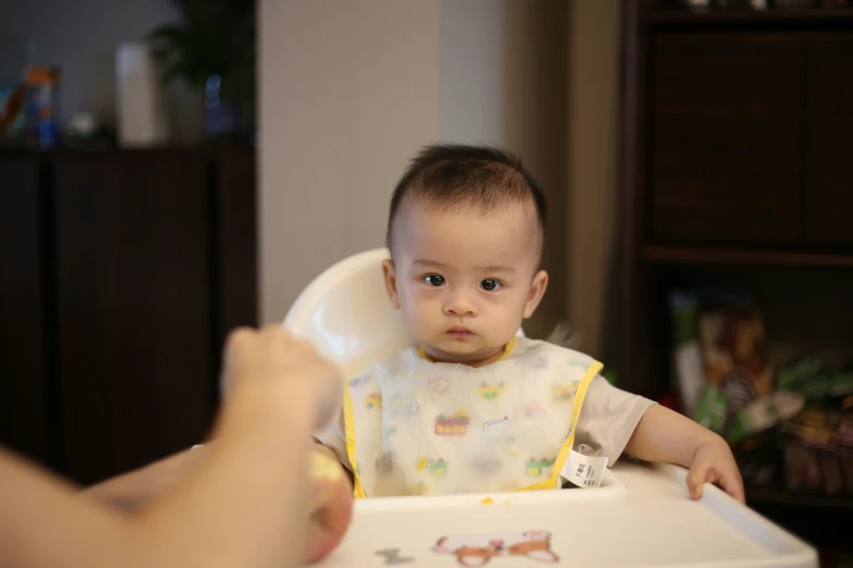 a baby with a bib is being held by someone