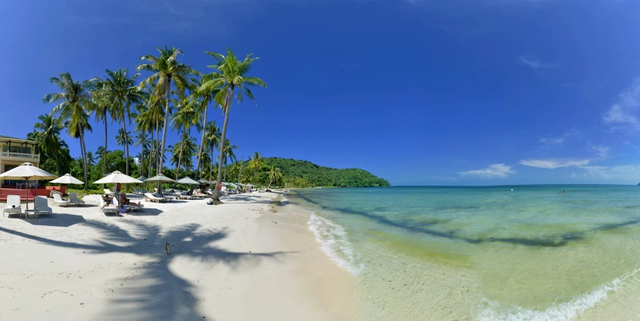 the beach has palm trees on it and white sand