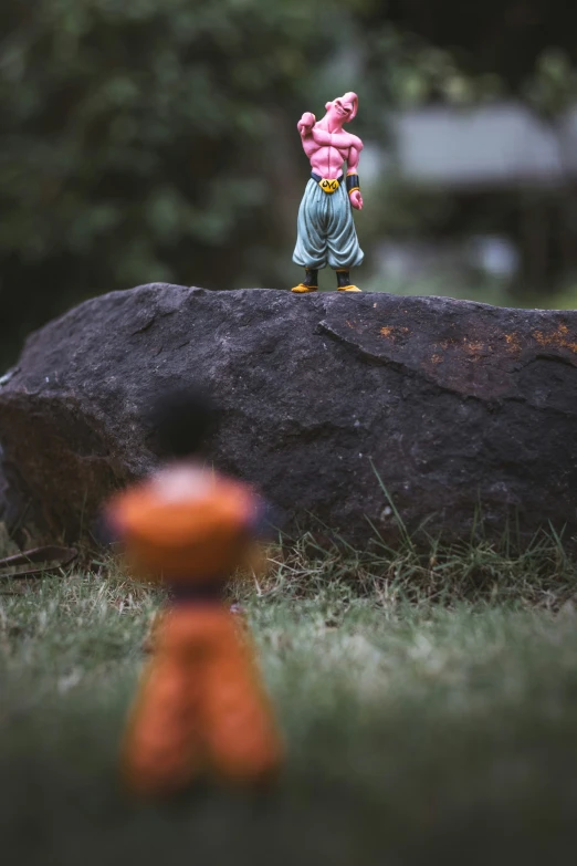 a figurine is sitting on a rock in the grass