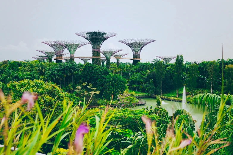 the gardens by the lake in the middle of the city