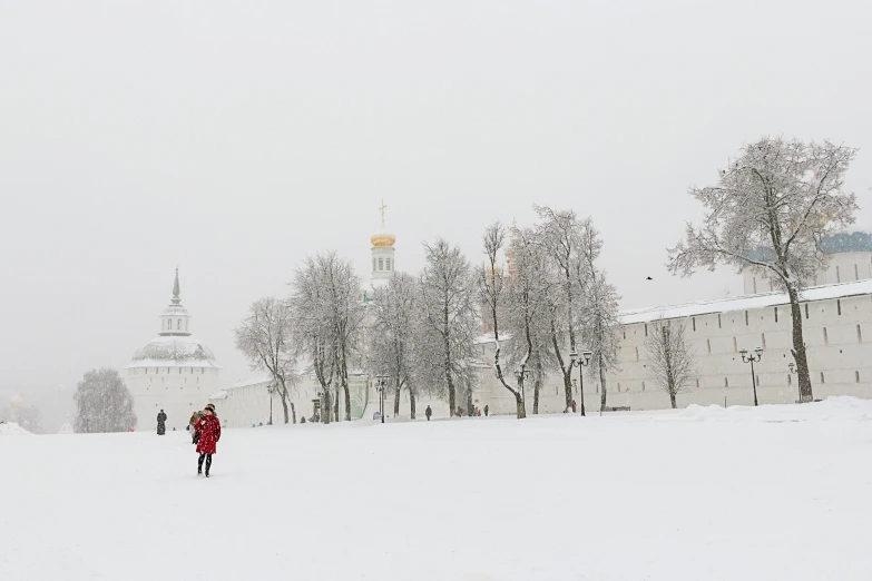 two people walking on a snowy day in the park