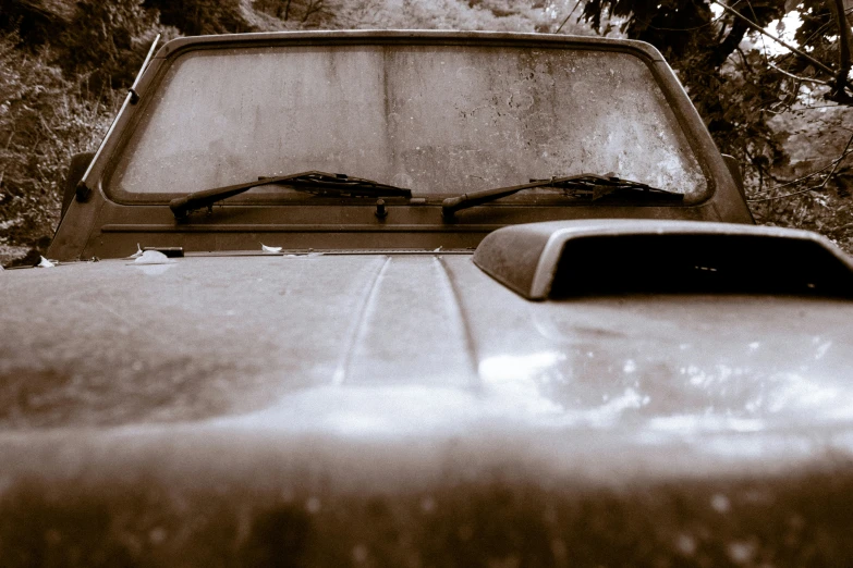 old abandoned car with trees and dirt in back