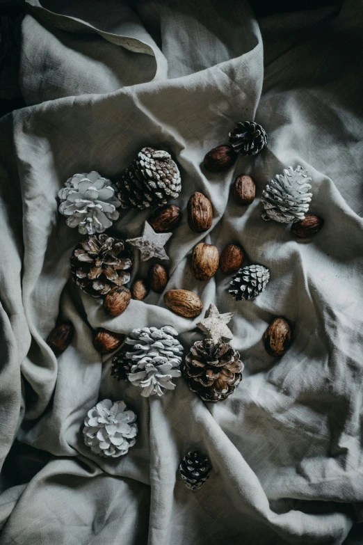 a pile of pinecones and some other plants