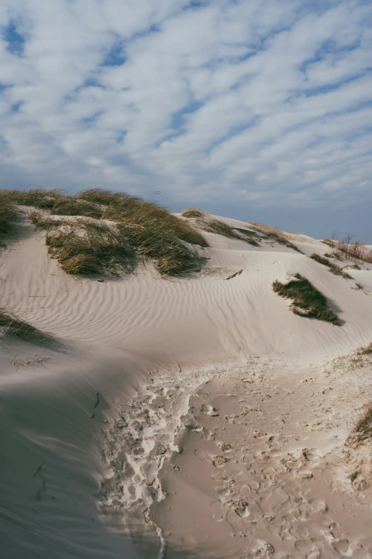 a sandy hill covered in lots of vegetation