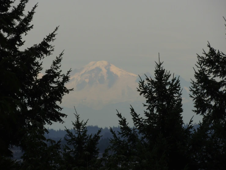 a view of the summit of a snow - capped mountain through some pine trees