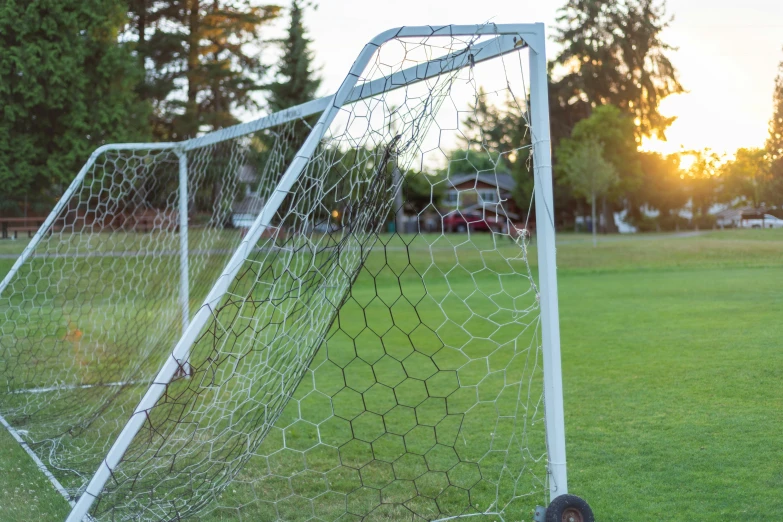 a soccer goal with a soccer ball in the grass
