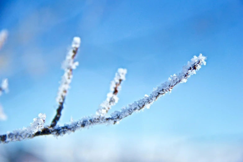 a thin nch of ice on a sunny day