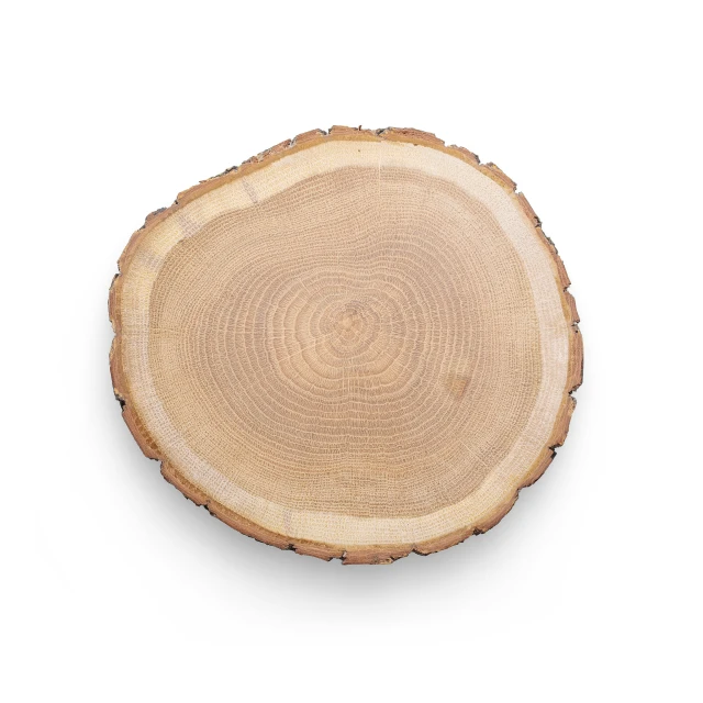 a cut wood plate with a white background