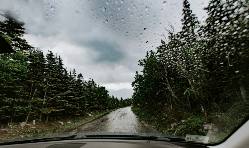 a wet road on an island surrounded by woods