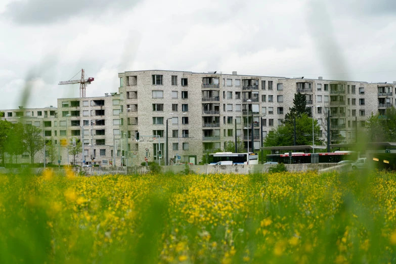 a large apartment building and grass with yellow flowers on the foreground