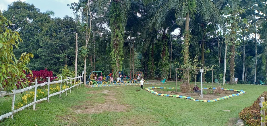 a garden with a white fence and a row of trees