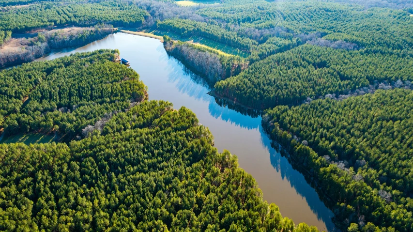 an image of a river in the middle of nowhere