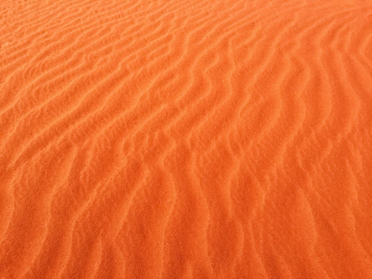 a close up of a very orange dune sand