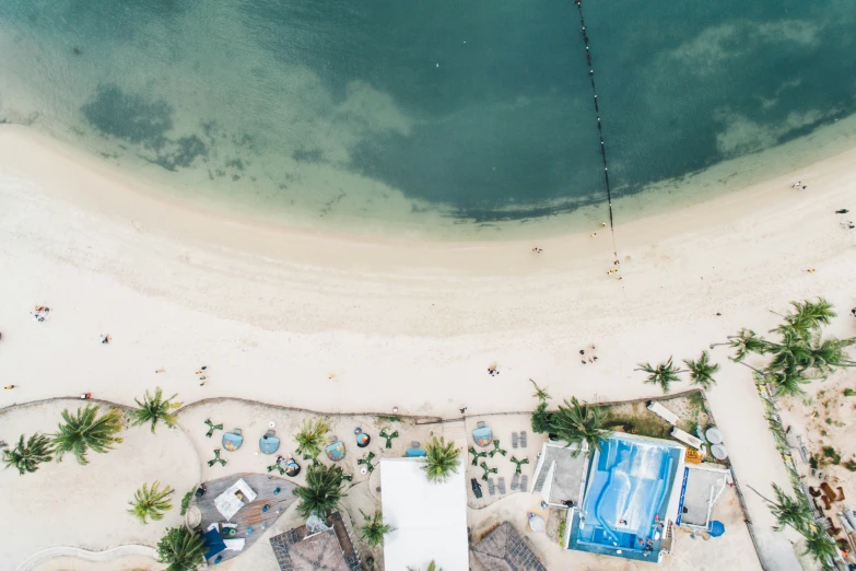 aerial view of white sand, clear waters and palm trees on the shoreline