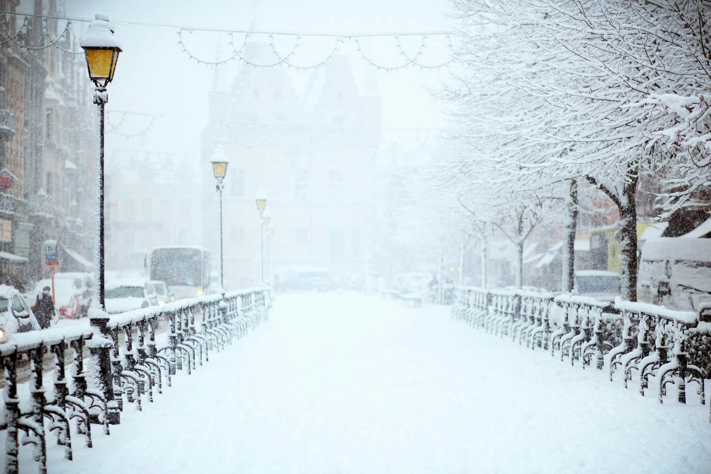 snow is falling and a city street light stands in the foreground