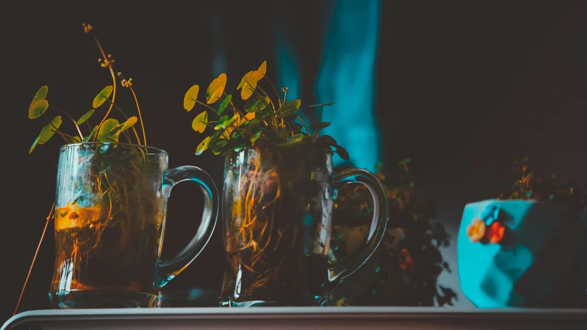 two pitchers with plants and a cake in the background