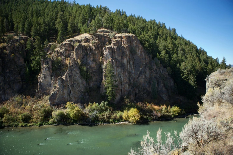 trees and vegetation grow on a rocky cliff