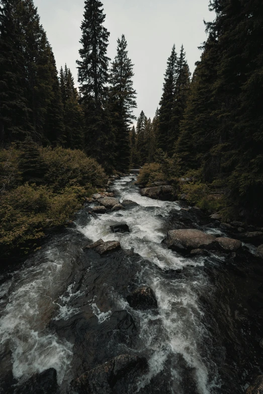 a river that has very little rapids surrounded by trees