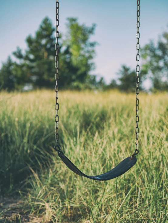 a swing hanging in the grass near some trees