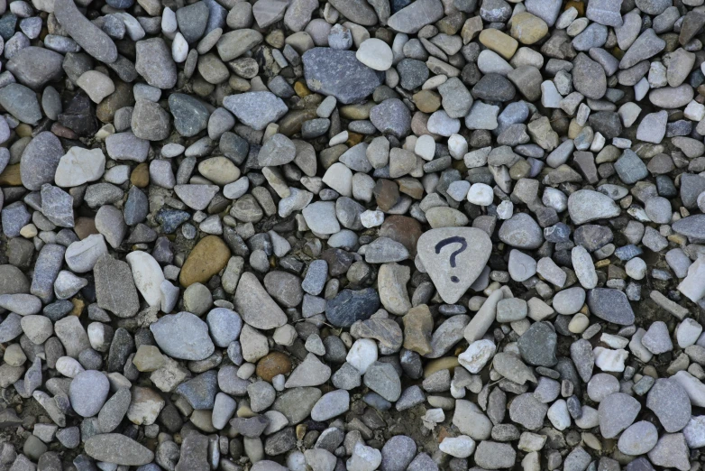 a question mark on the rocks next to a leaf