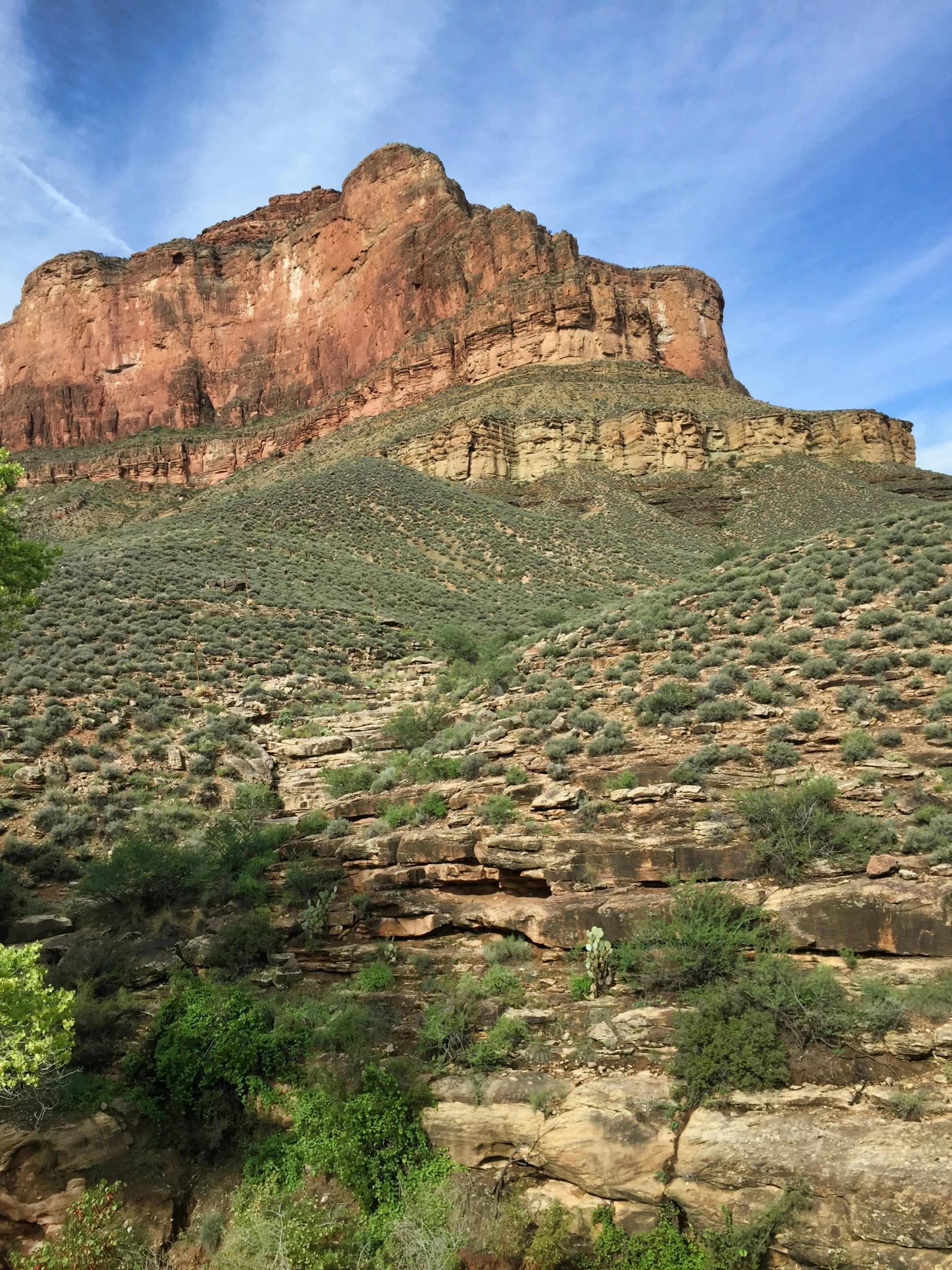 some trees and bushes in front of some red rocks