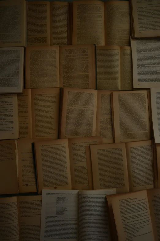 many books on the wall are being displayed