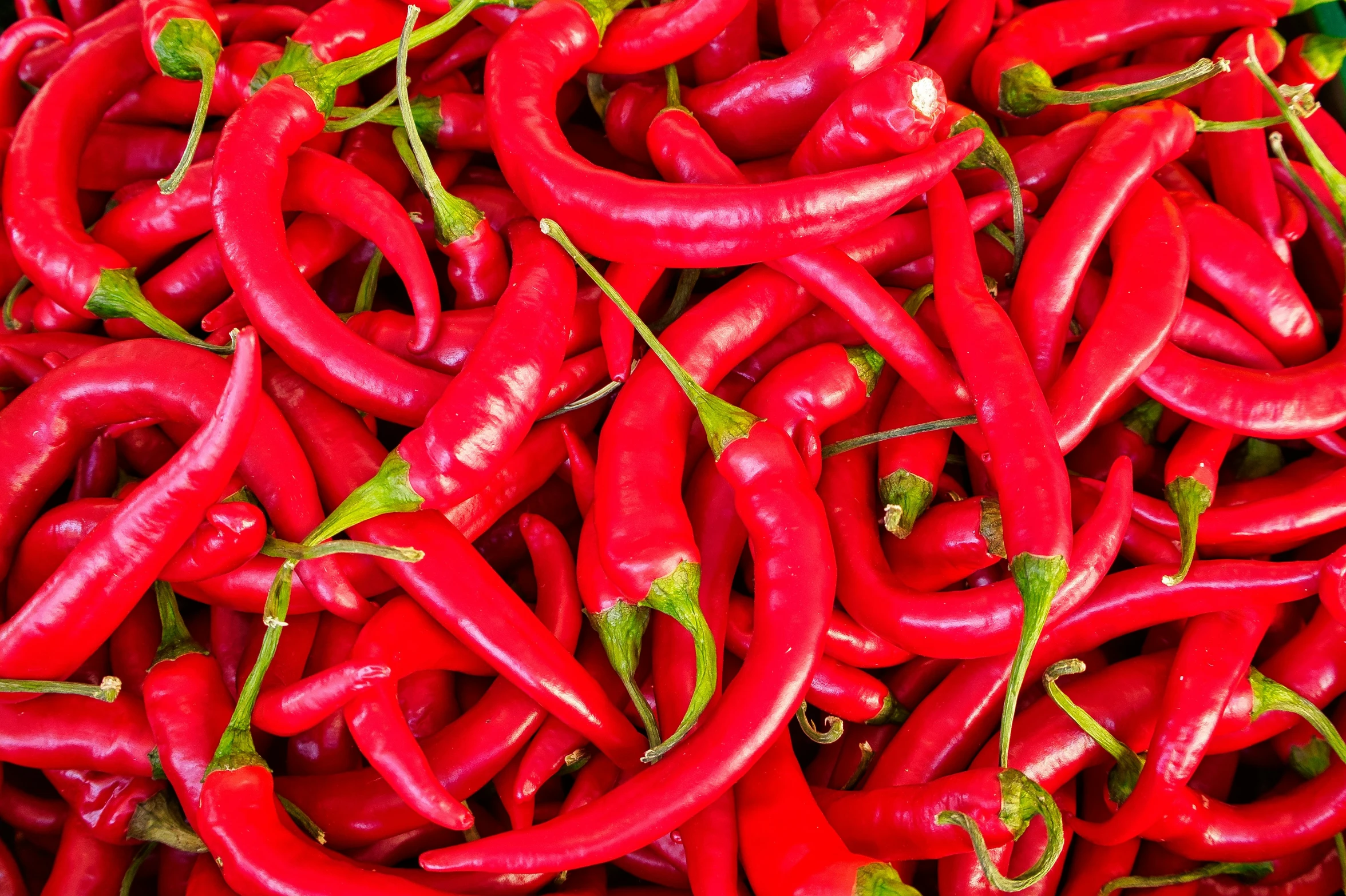 red peppers piled up in rows at a market