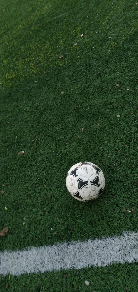 soccer ball sitting on the green field on the grass