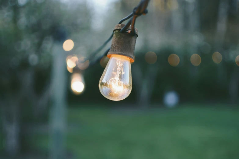 an old lightbulb hangs from a tree with a string of lights behind it