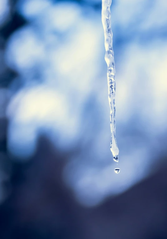 an ice stick hanging upside down on the tree