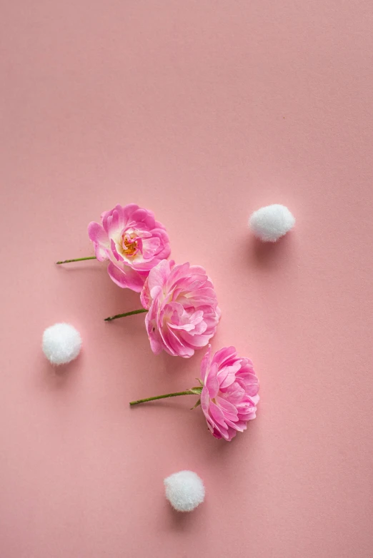 pink flowers and cotton balls with some white ones