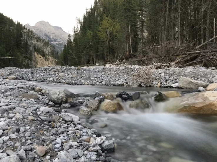 stream flowing through rocky creekbed in front of wooded mountain range