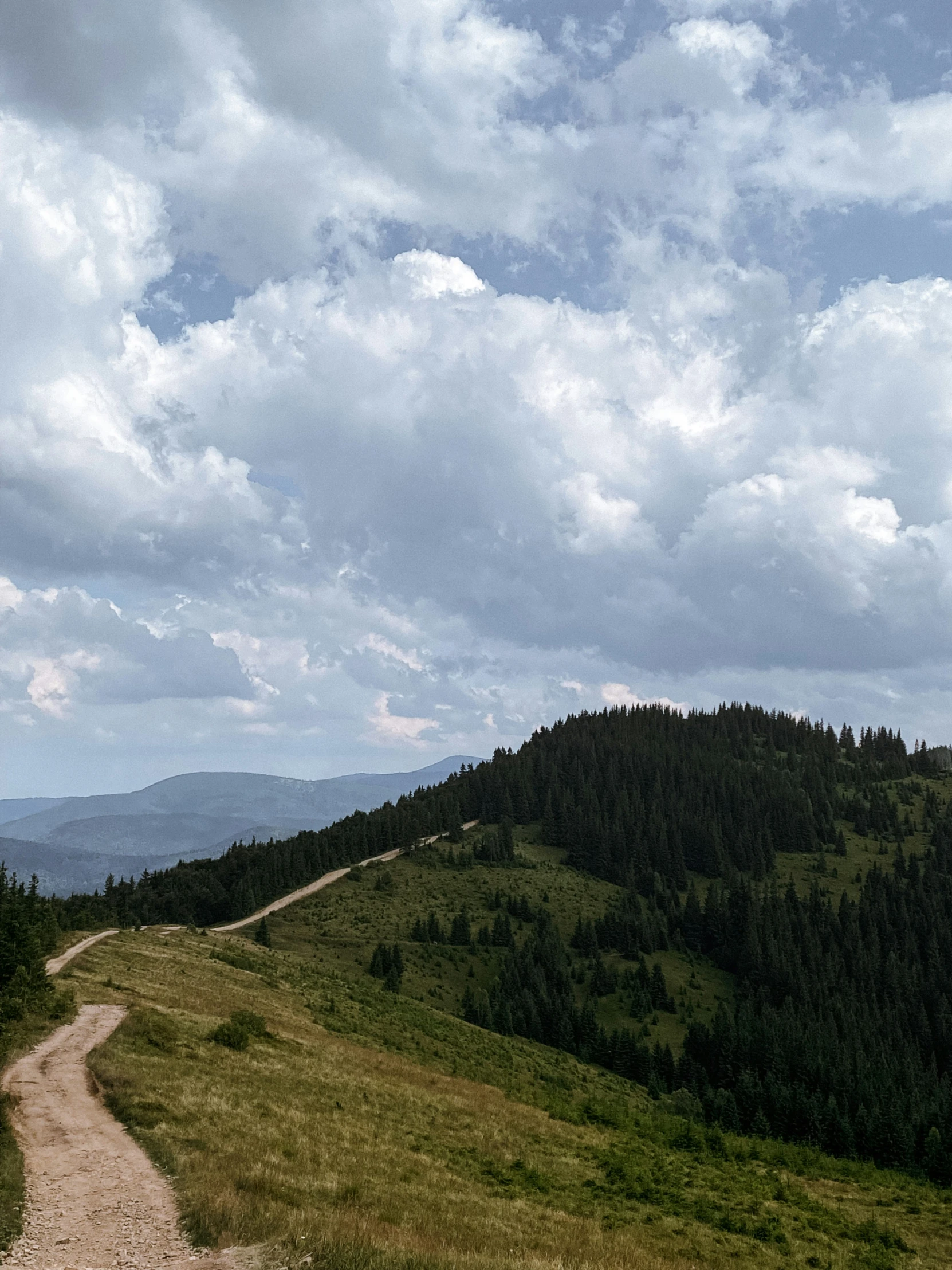 road leading toward distant tree - lined mountain pass