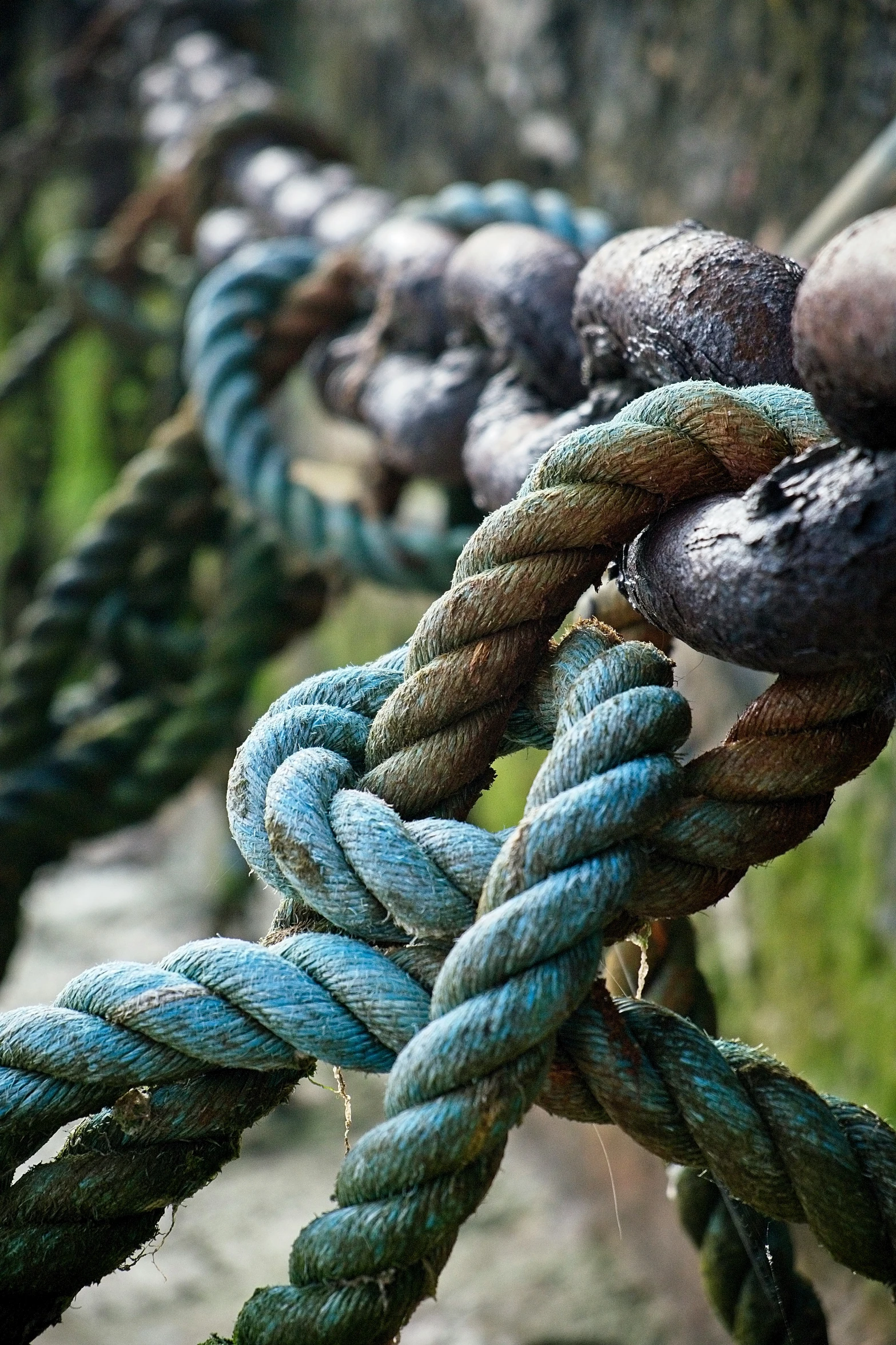 some ropes in the woods that look like they are tangled together