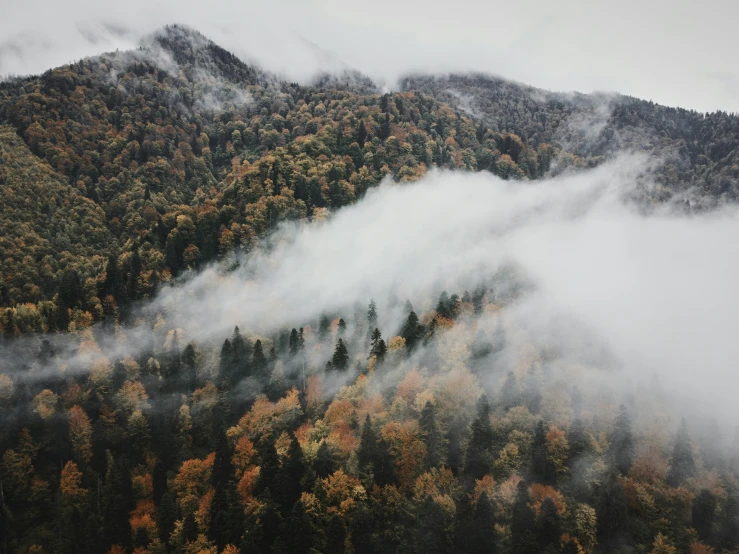 a mountain covered in clouds with autumn trees