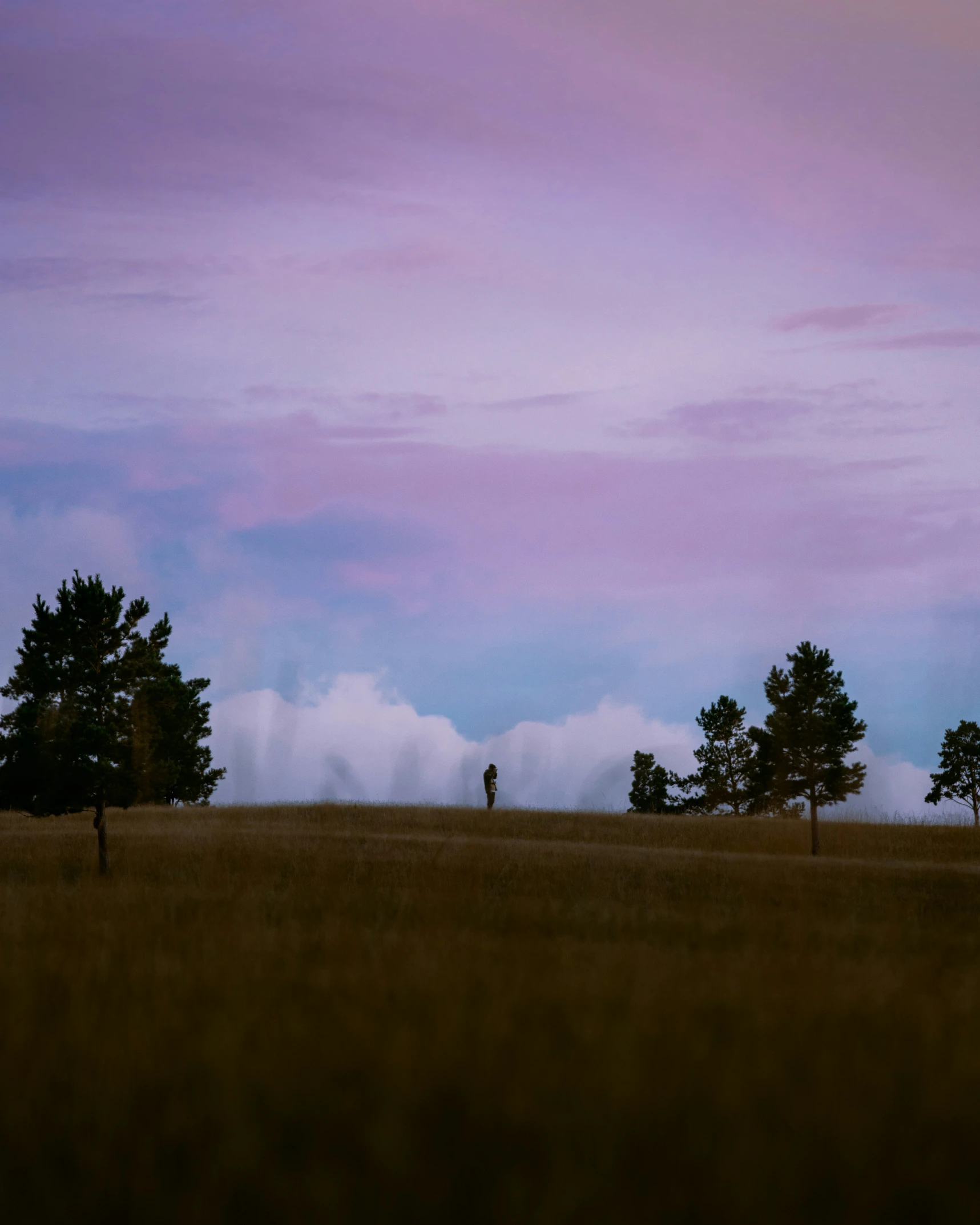 a person riding in the distance on top of a hill