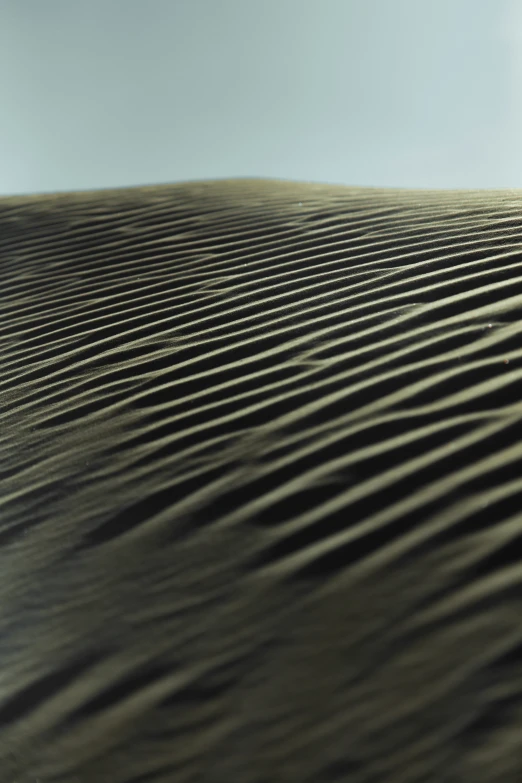 the shadow of lines on a sand dune